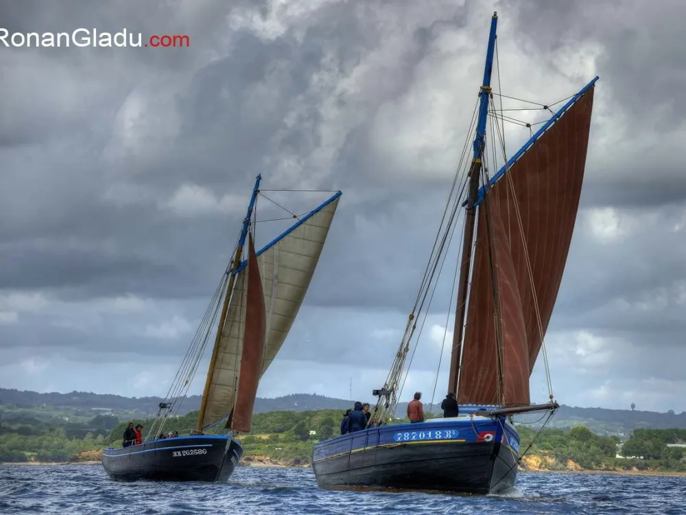 Balade à bord d'un voilier traditionnel à la demi-journée